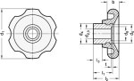 Handwheel with GN Elesa