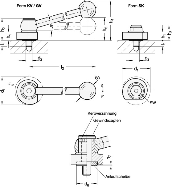 Var1215155 #1