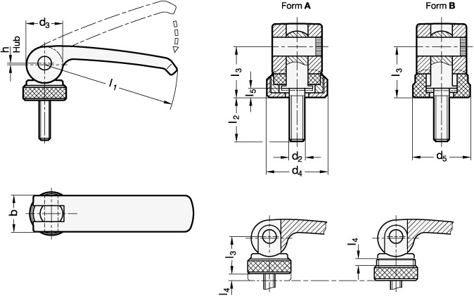 Var1215536 #1